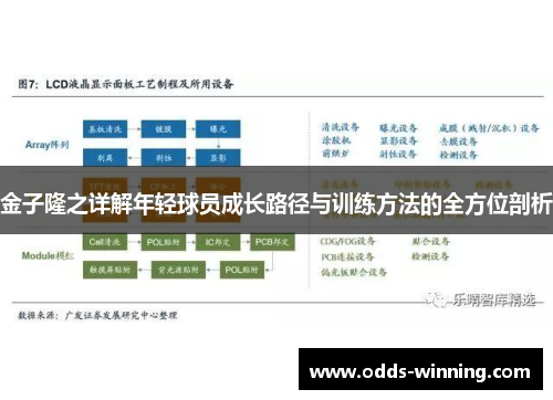 金子隆之详解年轻球员成长路径与训练方法的全方位剖析