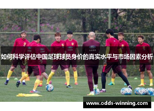 如何科学评估中国足球球员身价的真实水平与市场因素分析