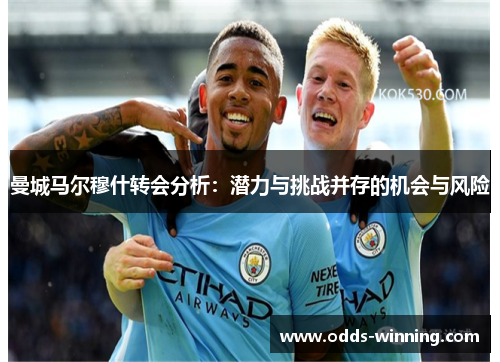 曼城马尔穆什转会分析：潜力与挑战并存的机会与风险
