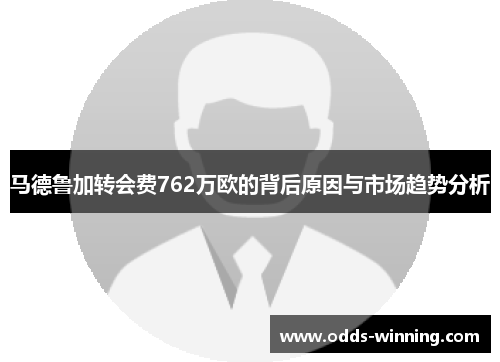 马德鲁加转会费762万欧的背后原因与市场趋势分析