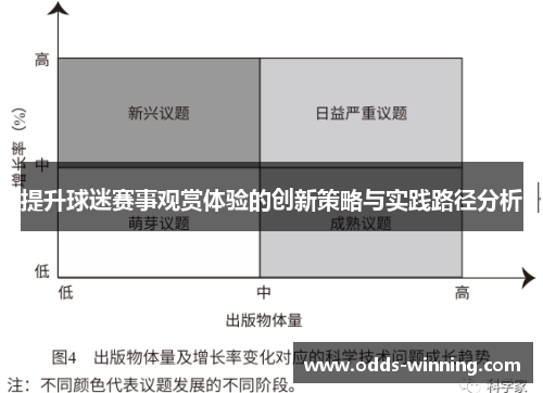提升球迷赛事观赏体验的创新策略与实践路径分析