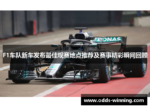 F1车队新车发布最佳观赛地点推荐及赛事精彩瞬间回顾