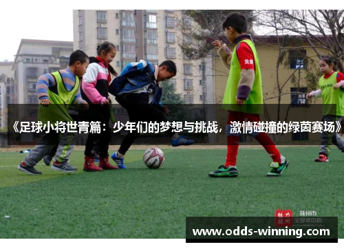 《足球小将世青篇：少年们的梦想与挑战，激情碰撞的绿茵赛场》