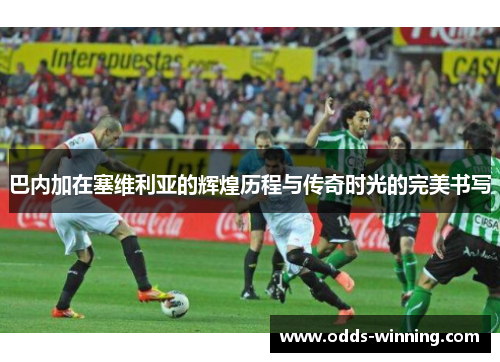 巴内加在塞维利亚的辉煌历程与传奇时光的完美书写